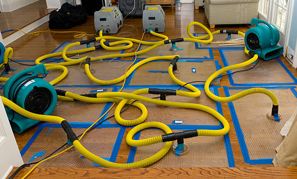 Professional Crawl Space Water Removal technician working in Sebewaing, MI